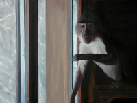 Affenhaus, 2013, oil on canvas, 80 x 100 cm.jpg