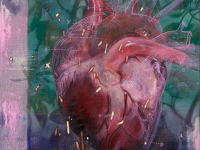 Heart Times | 2025 | mixed media on cotton | 80 x 60 cm.jpg