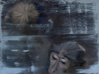 Und dann, 2016, oil on canvas, 90 x 60 cm.jpg