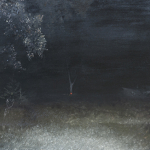 Nachts im Garten, 2010,oil on canvas, 50 x 70 cm.jpg
