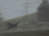 Nebel, 2012, oil on canvas, 80 x 120 cm.jpg