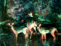 As For A Shelter | 2019 | mixed media | 80 x 80 cm.jpg