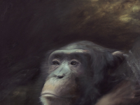 Das wird dein Jahr, 2016, oil on canvas, 90 x 60 cm.jpg
