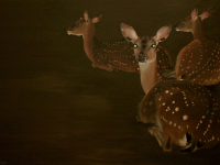 Wo du bist, 2012, oil on canvas, 80 x120 cm.jpg