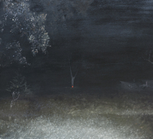 Nachts im Garten, 2010,oil on canvas, 50 x 70 cm.jpg